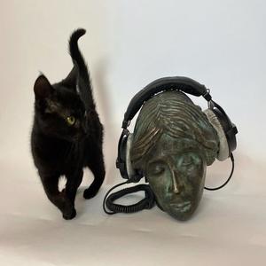 01ashes - til the day that i die