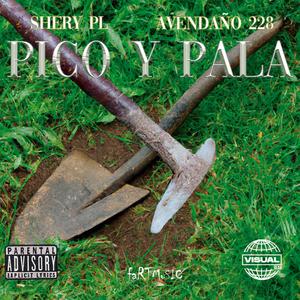 Pico y Pala (feat. Avendaño 228) [Explicit]