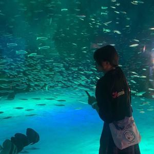 白月光与朱砂痣