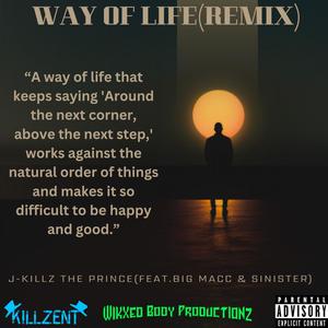 Way Of Life (feat. Big MaCC of WBP & SINister) [Remix] [Explicit]