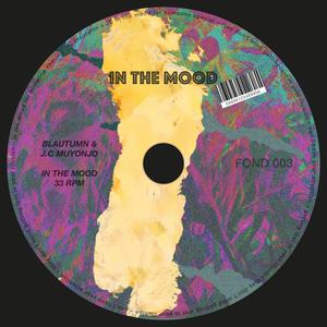 IN THE MOOD (feat. J.C Muyonjo) (Radio Edit)