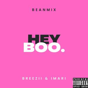 HEY BOO! (IMARI & Breezii Remix) [Explicit]