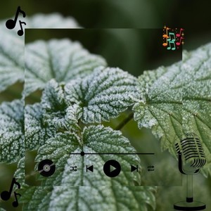 Zalmor Tylzak (Original Mix)