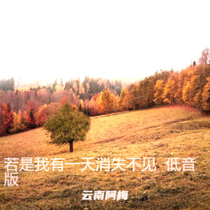 若是我有一天迷路人间  升调版