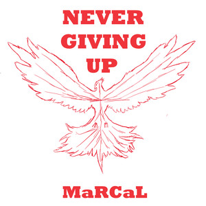 Never Giving Up