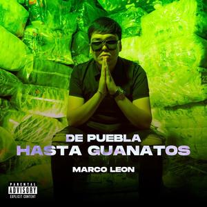 DE PUEBLA HASTA GUANATOS