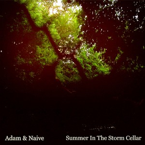 Summer in the Storm Cellar