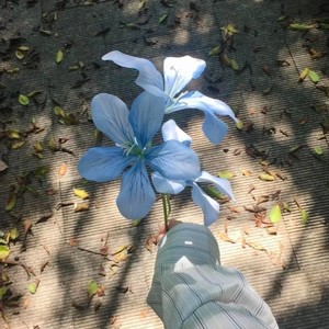 月亮代表我的心-陆小九