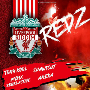 Liverpool Instrumental Various Artistes EP (REDZ)