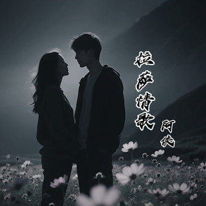 拉萨情歌