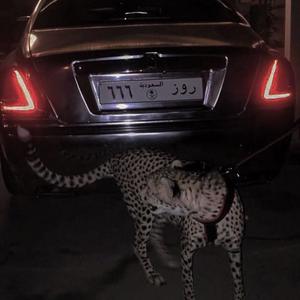 hello kitty (Explicit)