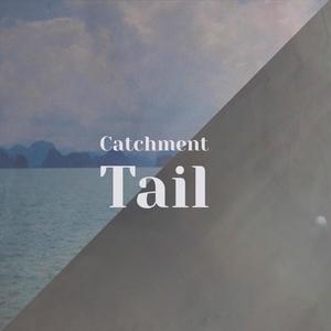 Catchment Tail