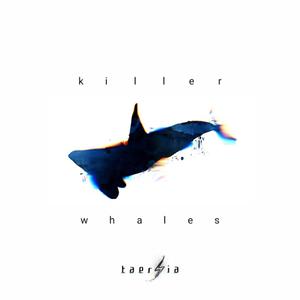 Killer Whales