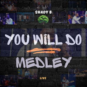 You Will Do Medley (Live)