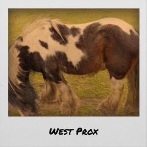 West Prox