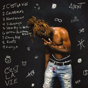 Sneaky Link (Explicit)