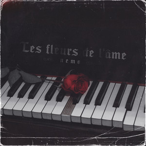 Les fleurs de l'âme