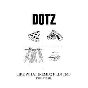 Like What (feat. DJ TMB) [LRD Remix] [Explicit]