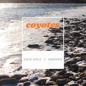 Coyotes (feat. Aridonis)