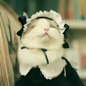 【☆花崎安久奈☆翻唱】001 - 渡月橋 ~君 想ふ~