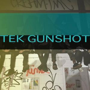 Tek Shot