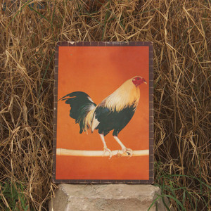 Gallardía (Explicit)