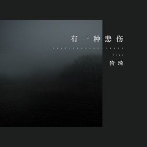 佳其 - 有一种悲伤