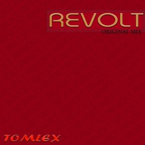 Revolt (Original Mix)