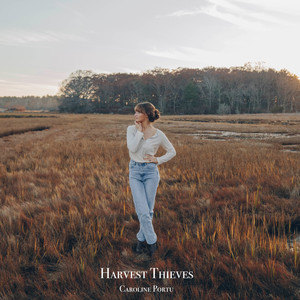 Harvest Thieves