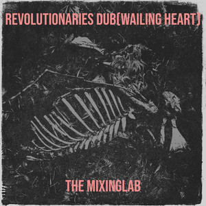 Revolutionaries Dub (Wailing Heart)