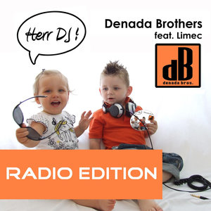 Herr DJ (Radio Edition)