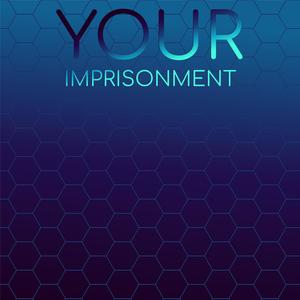 Your Imprisonment