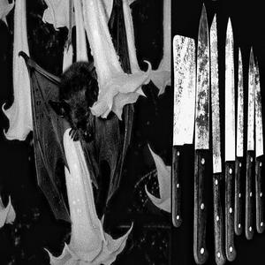 Gathering of flittermice (raywtfu0n) (Explicit)