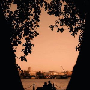 精卫（无法控制对你的爱）