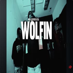 Wolfin (feat. Mr.Dondada) [Explicit]