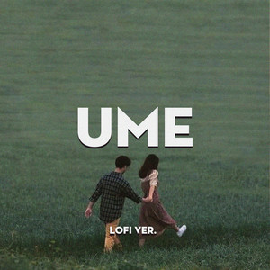 UMEE (Lofi)
