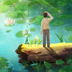 望一个盛夏 (盛望同人曲)