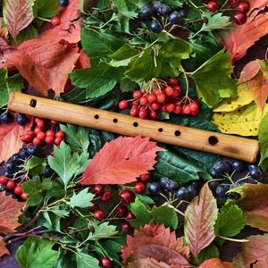 Флейта и гитара. Наступила Осень