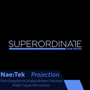 Projection (DeepNorth Reprojection Rmx)