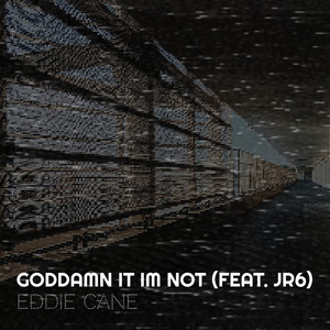 Goddamn It Im Not (Explicit)