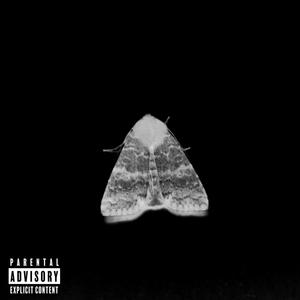 Say so(rough)(feat. JoeyCoke)