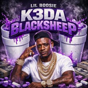 Lil Boosie (feat. Luh ant) (Explicit)