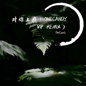 对你上瘾 (ONECANDY VIP REMIX)