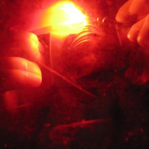 w jack (feat. The Jackal) (Explicit)