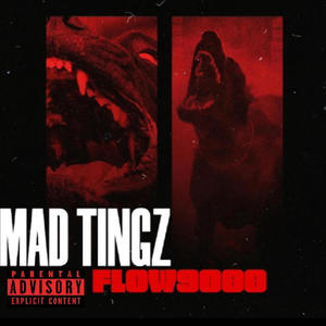 Mad tingz (Explicit)