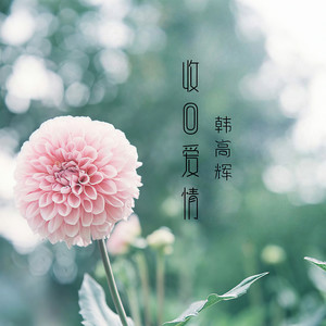痴心为了谁