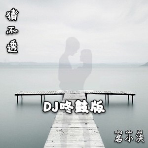 生僻字 (DJ咚鼓版)封面