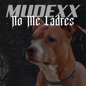 No me ladres (feat. Diavlo Rek) [Explicit]