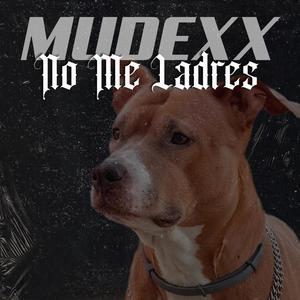 No me ladres (feat. Diavlo Rek) (Explicit)