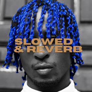 N3W MIND (feat. AlfredCuts) (Slowed and Reverb Remix)